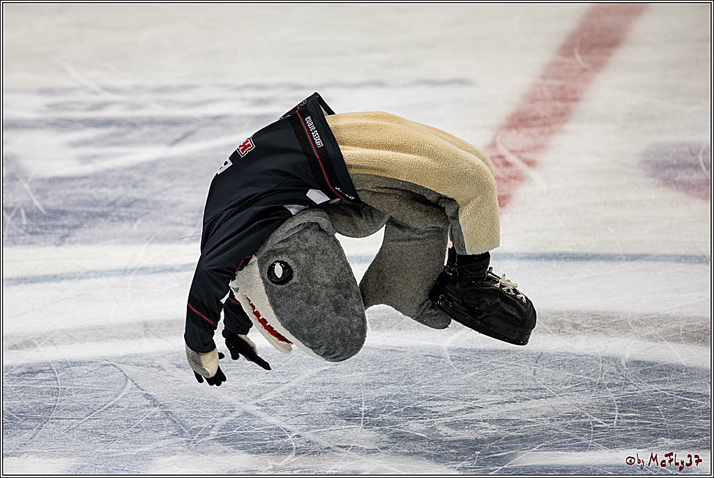 Koelner Haie - Adler Mannheim, 30.10.2016